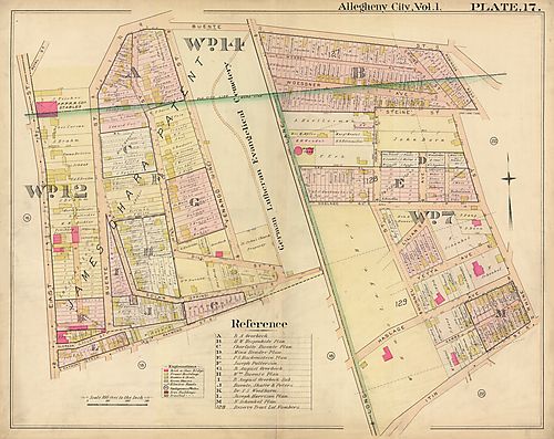 Spring Hill-City View