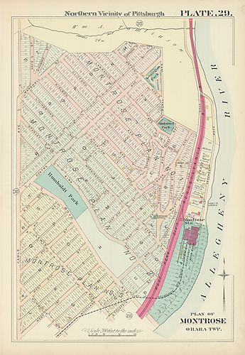 Plan of Montrose, O'Hara