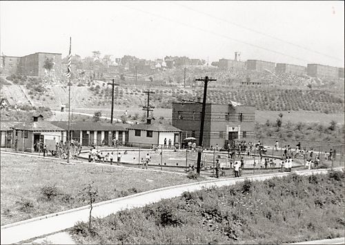Outdoor swimming pool with Kennard Field and Terrace Village