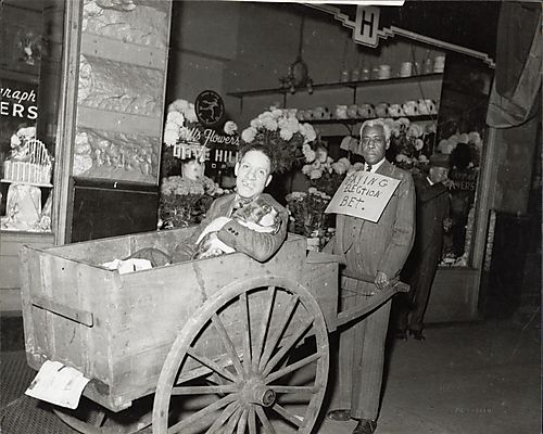 An elderly man wearing a sign Paying Election Bet" and pushing wheelbarrow containing a man and a dog in front of Dave Hill's flower shop"