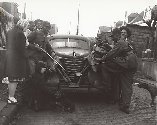 Hunters with dead deer on hood of car
