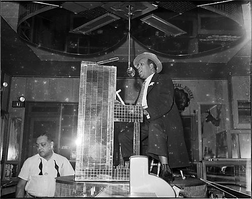 William Woogie" Harris playing mirrored piano and singing into microphone on stage above bar at Crawford Grill No. 2, with bartender Tom West in background"
