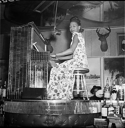 Allyce Brookes wearing floral patterned dress playing mirrored piano in Crawford Grill No. 2 room with deer head and tropical decor