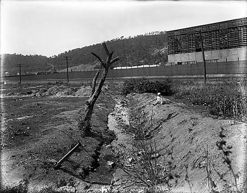 Child on the Stream Bank