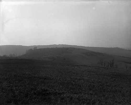 Rolling Hills with Fences