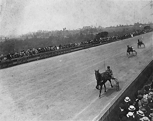 Harness Racing at Schenley Oval