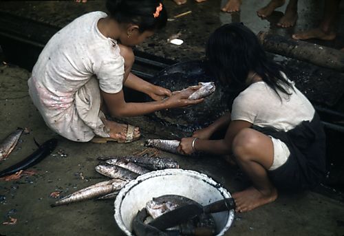 Women and Fish