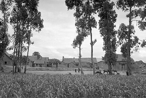 View of Village Farm