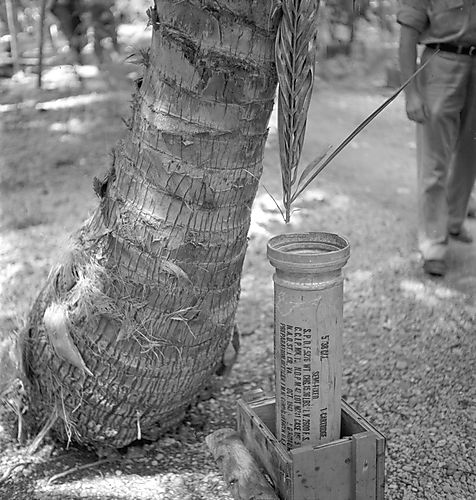 Artillery Shell Cartridge