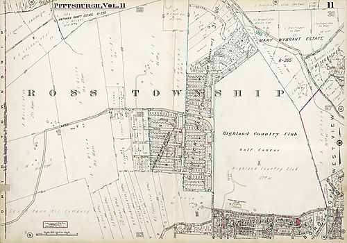 Ross, West View