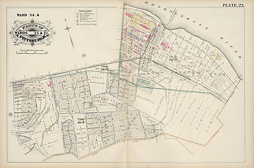 Ward 24 & Parts of Wards 25 & 27
