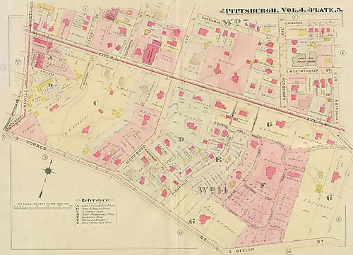 Shadyside, Squirrel Hill North