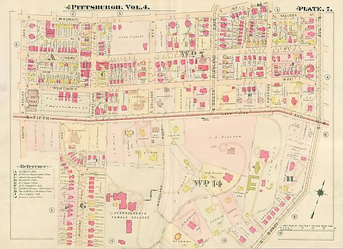 Shadyside, Squirrel Hill North