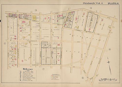 Bloomfield, Friendship