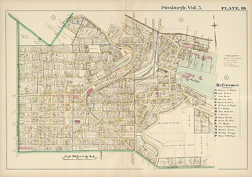 Allentown, South Side Slopes