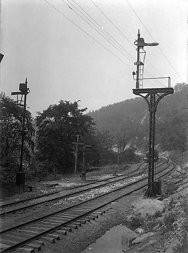 Signal No. 211
