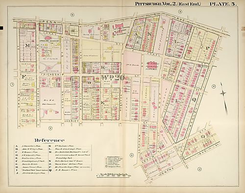 Bloomfield, Friendship