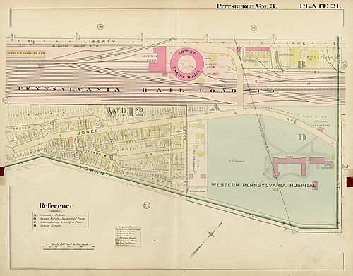 Strip District, Bedford Dwellings, Polish Hill