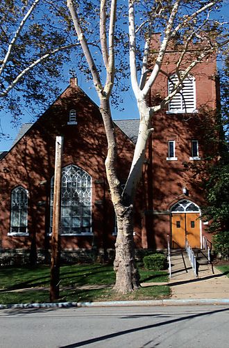 Oakmont Presbyterian Church, 2008