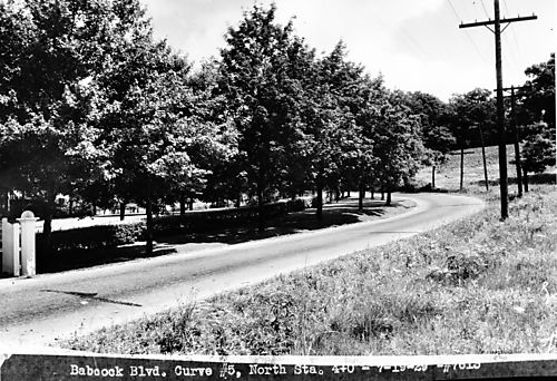 Babcock Boulevard Curve #5