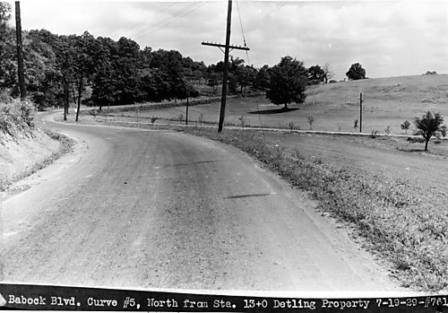 Babcock Boulevard Curve #5