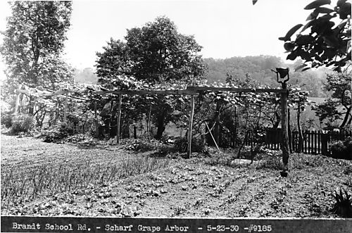 Scharf family garden on Brandt School Road