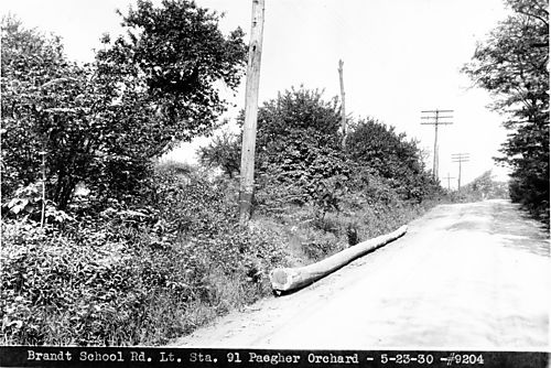 Pegher Orchard on Brandt School Road