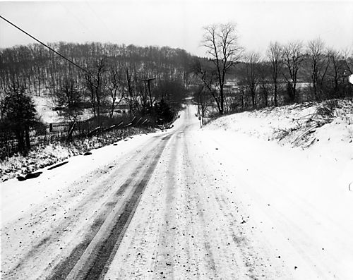 Snow Covered Brown Road - North Park