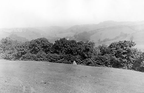 North Park Farms