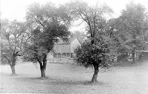 North Park Farms