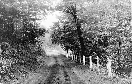 North Park Farms