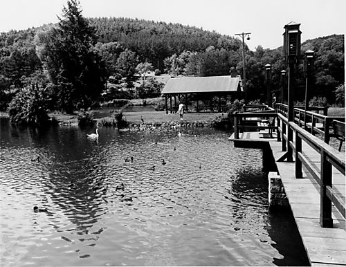Marshall Lake Island and Shelter