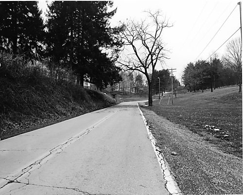 North Park - Walter Road shoulder paving