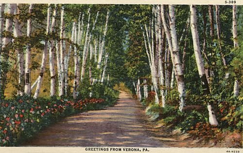 Greetings from Verona