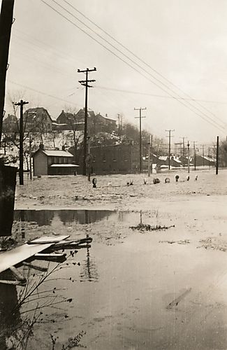 High and Low Ground in St. Patrick's Day Flood