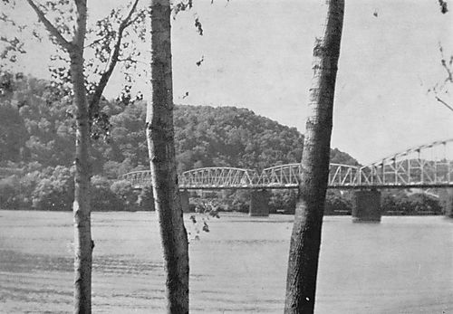 Hulton Bridge from Behind Three Trees