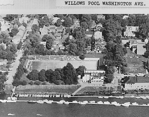 Overview of Willows Pool