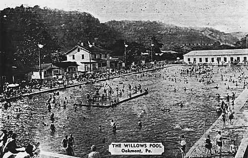 Fun Times at the Willows Pool