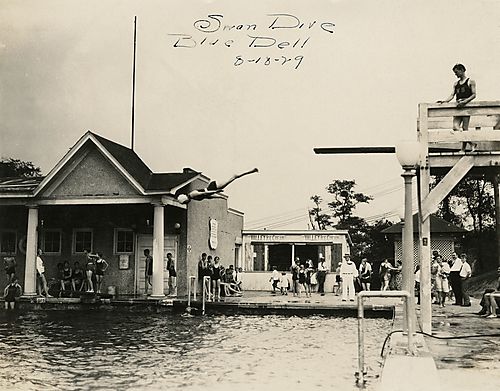 Swan Dive, Blue Dell 8-18-29