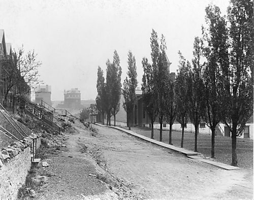 Milroy Street