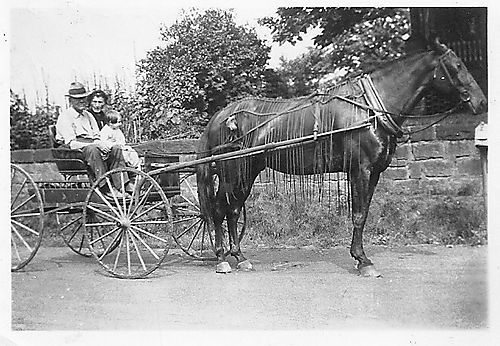 A Family Outing at the Grimm Farm