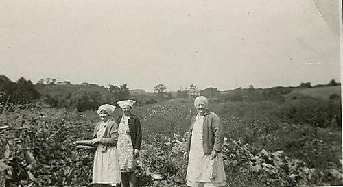 Mary Thompson in her “Victory Garden” in the 1940s