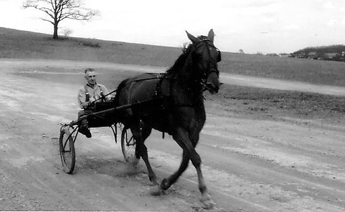 Harry Solomon with a Trotter on the Farm’s Racetrack