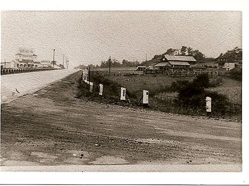 Taylor’s Auction Barn
