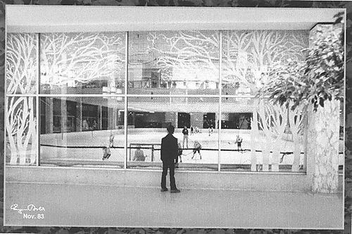 Monroeville Mall’s Popular Ice Skating Rink