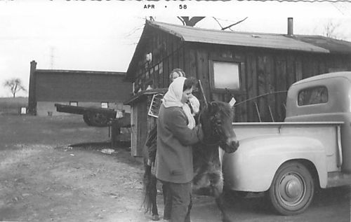 Life on the McGinley Farm in the 1950s