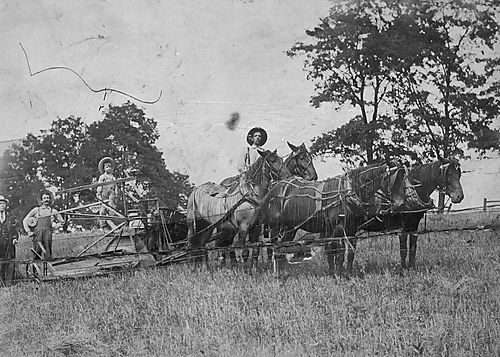 Grain Harvesting