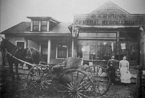 Brunn's General Store, Ingomar, PA