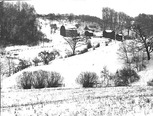 Fifer Farm