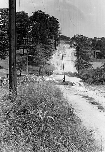 Lenora Drive